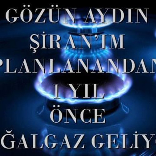 GÖZÜN AYDIN ŞİRAN'IM PLANLANANDAN 1 YIL ÖNCE DOĞAL GAZ GELİYOR